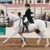 lkmdressage